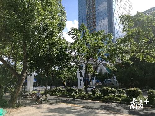 独家 公园直通楼盘 深圳这一市政工程为何与商业小区无缝对接